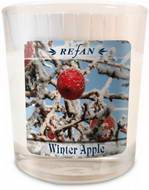Соевая свеча «Winter Apple»