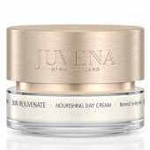 Купить Питательный дневной крем для нормальной и сухой кожи Skin Rejuvenate (тестер) Питательный дневной крем для нормальной и сухой кожи Skin Rejuvenate (тестер)
