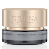 Купить Питательный ночной крем для нормальной и сухой кожи Skin Rejuvenate (тестер) Питательный ночной крем для нормальной и сухой кожи Skin Rejuvenate (тестер)